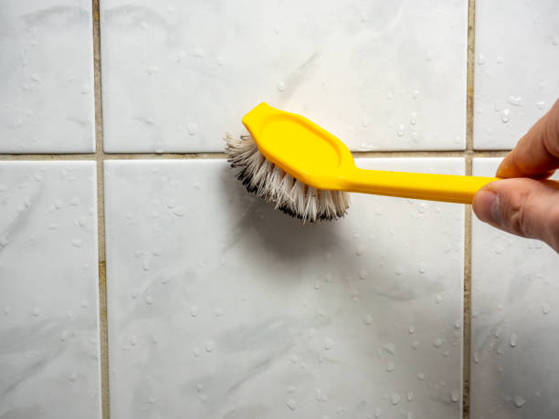 Best Mold Removal Process  in Marlboro Village, MD