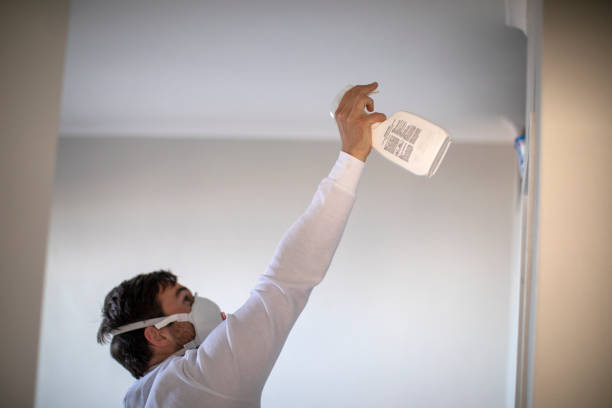 Best Water Damage Restoration  in Marlboro Village, MD