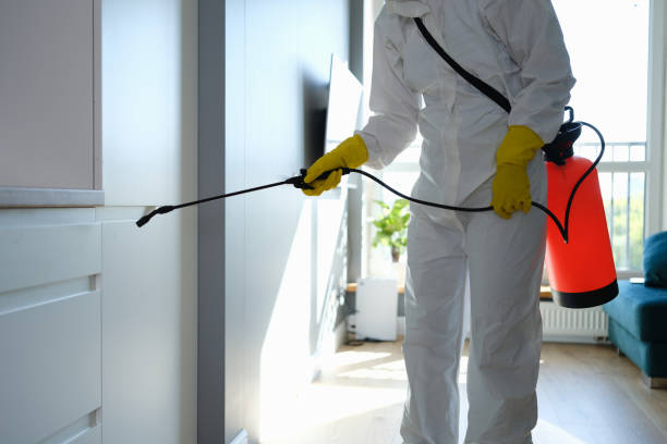 Best Professional Mold Removal  in Marlboro Village, MD