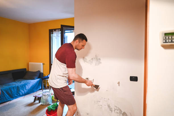 Best Commercial Mold Removal  in Marlboro Village, MD